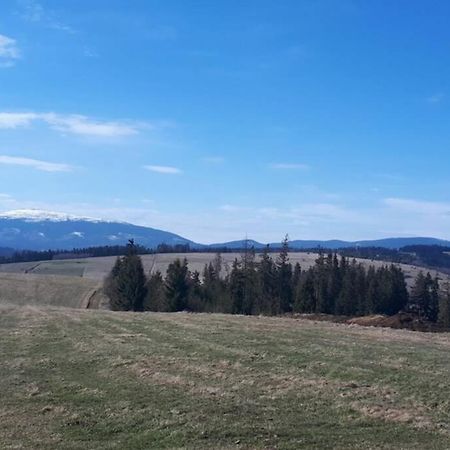 Przytulny Apartamentt Jablonka  Esterno foto